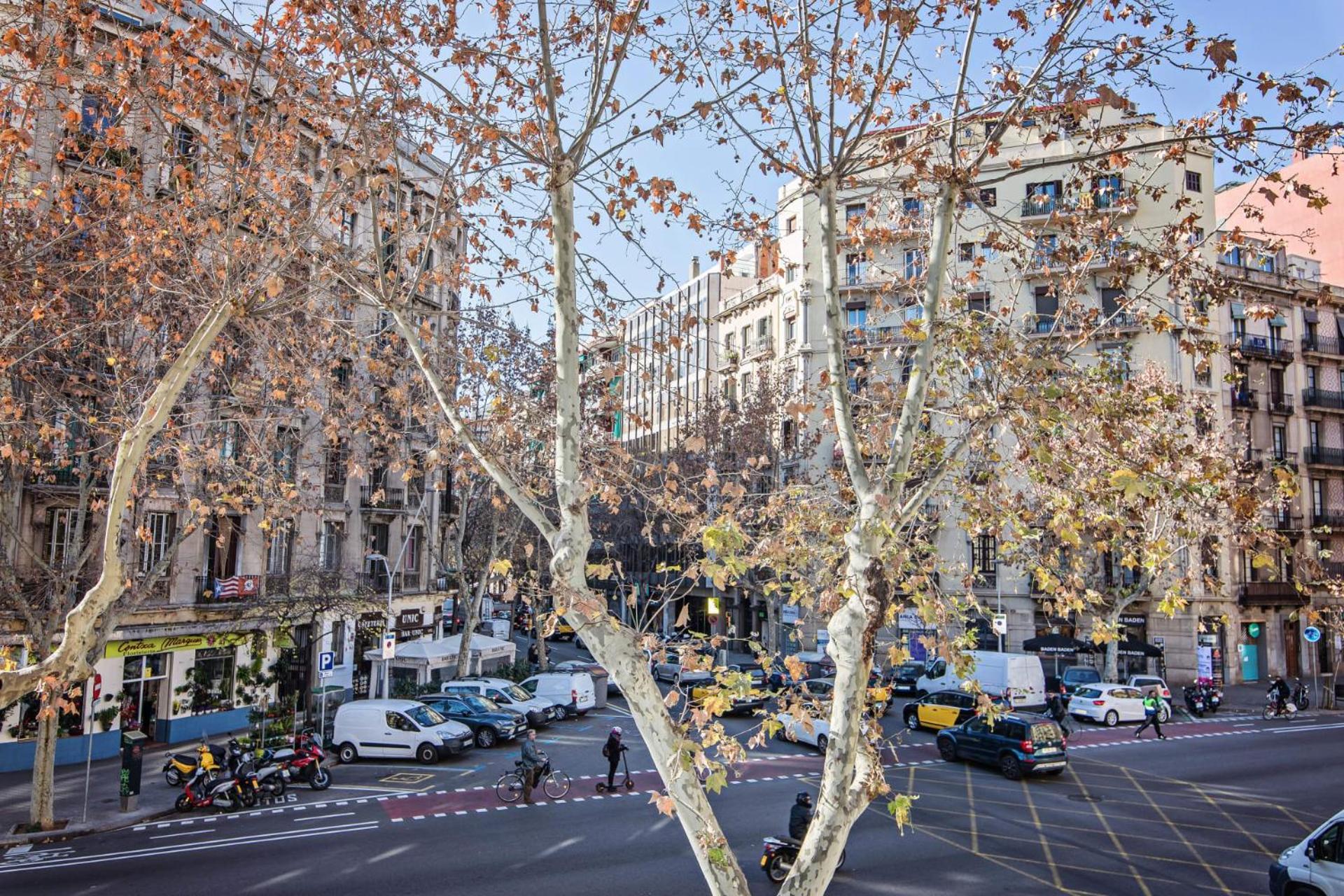 Comte Urgell Lejlighed Barcelona Eksteriør billede